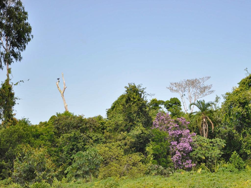 Village Mata Encantada Santo Andre  Exterior photo